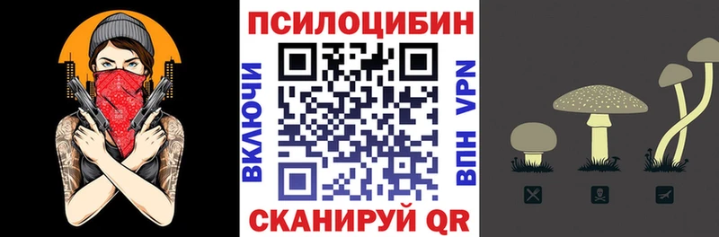 гидра ТОР даркнет сайт Удачный Псилоцибиновые грибы Cubensis
